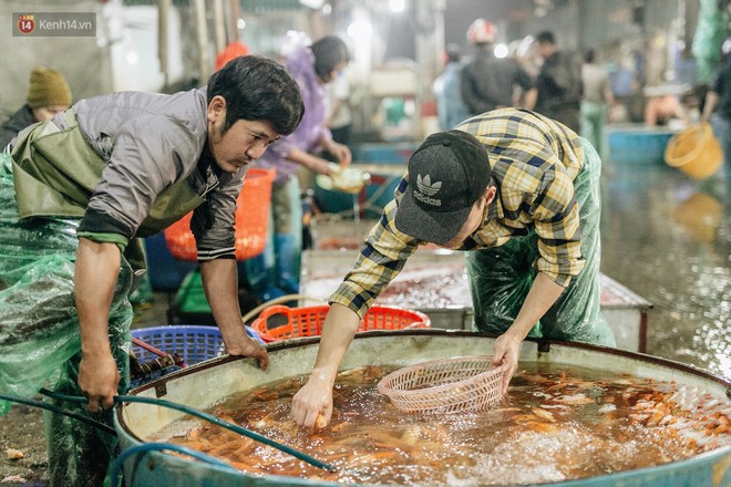 Ảnh, clip: Chợ cá lớn nhất Hà Nội nhộn nhịp từ tờ mờ sáng ngày tiễn ông Công ông Táo về trời - Ảnh 16.