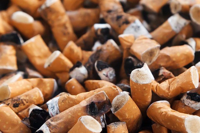 Không phải túi nilon, đầu lọc thuốc lá mới là thứ gây ô nhiễm nhất và không thể ngăn ung thư - Ảnh 5.