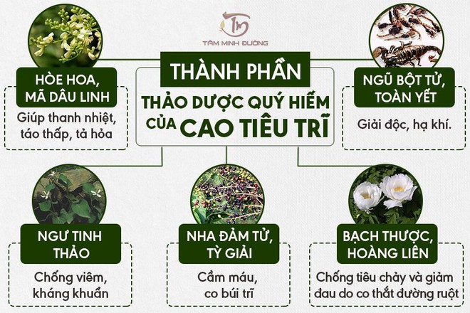 5 cách chữa bệnh trĩ bằng thuốc nam hiệu quả đáng tham khảo - Ảnh 4.