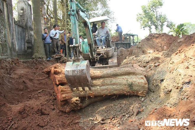Dân làng mua thùng container 40 triệu đồng, cử 23 người bảo vệ gỗ cây sưa trăm tuổi vừa đốn hạ - Ảnh 2.