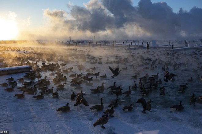 Thời tiết điên rồ: Nhiều nơi đón mùa xuân, riêng ở Mỹ rét hơn cả Alaska và Nam Cực - Ảnh 21.