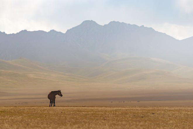 Thiên nhiên hùng vĩ ở Kyrgyzstan đẹp đến “nghẹt thở“ - Ảnh 18.