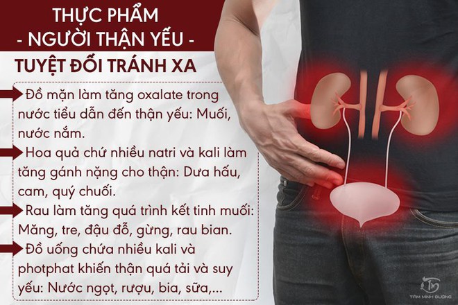 Thận yếu là gì? Nguyên nhân và cách trị bệnh đạt hiệu quả từng ngày - Ảnh 2.