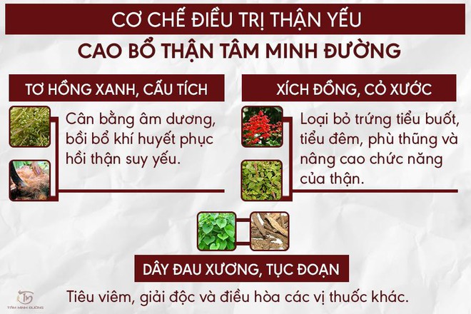 Thận yếu là gì? Nguyên nhân và cách trị bệnh đạt hiệu quả từng ngày - Ảnh 3.