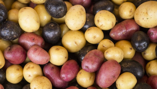 So sánh khoai lang và khoai tây: Loại nào tốt cho sức khỏe hơn? - Ảnh 3.
