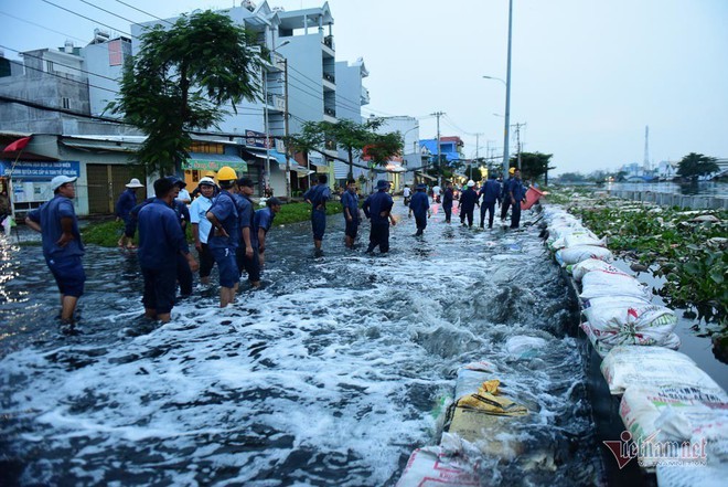 Hàng trăm người Sài Gòn oằn lưng gia cố bờ bao vỡ do triều cường - Ảnh 5.