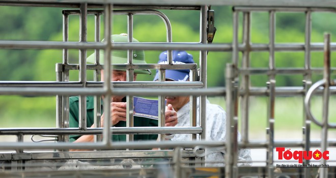 Thương binh xếp hàng mua vé trận Việt Nam - Malaysia, bán ngay cho chợ đen kiếm lời - Ảnh 11.