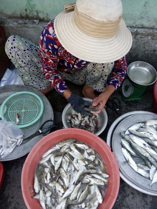 Làng ăn cá cực độc vẫn bảo toàn tính mạng: Hội Nghề cá giải mã - Ảnh 1.