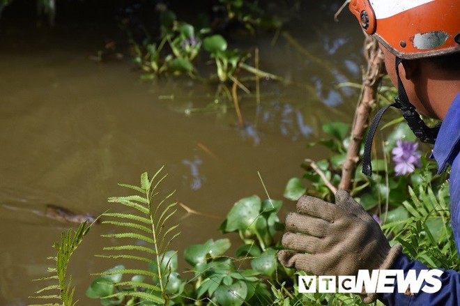 Ảnh: Theo chân nông dân Hải Phòng đi bắt chuột đồng mùa lúa chín - Ảnh 17.