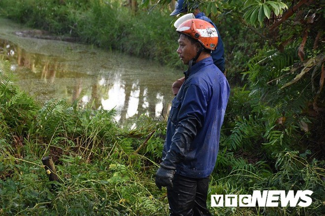 Ảnh: Theo chân nông dân Hải Phòng đi bắt chuột đồng mùa lúa chín - Ảnh 18.