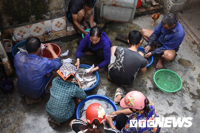 Ảnh: Theo chân nông dân Hải Phòng đi bắt chuột đồng mùa lúa chín - Ảnh 24.