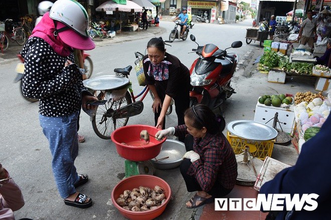 Ảnh: Theo chân nông dân Hải Phòng đi bắt chuột đồng mùa lúa chín - Ảnh 30.