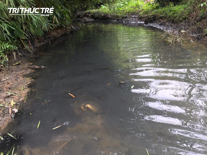 Dòng suối đầu nguồn nhà máy nước sông Đà: Dầu thải đặc quánh, đổ qua phễu to cũng không chảy được - Ảnh 2.