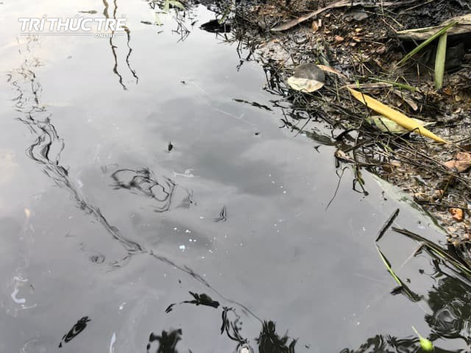 Dòng suối đầu nguồn nhà máy nước sông Đà: Dầu thải đặc quánh, đổ qua phễu to cũng không chảy được - Ảnh 3.