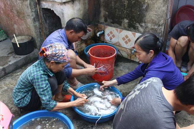 Hải Phòng: Chuột thủ tiết lộ kĩ nghệ săn chuột thu nửa tạ mỗi ngày - Ảnh 3.