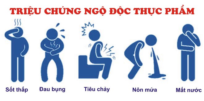 Bé gái 7 tuổi bị ngộ độc vì ăn nhầm mật cá: Cha mẹ cần chú ý 3 bước để cứu con - Ảnh 1.