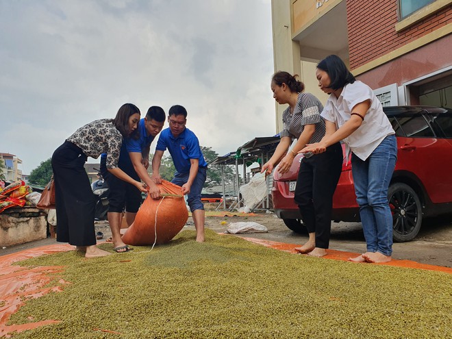 Sau trận ngập lịch sử, tiểu thương chợ Vinh vừa mếu khóc vừa hốt từng tý hàng mong cứu vãn - Ảnh 8.