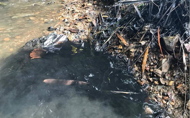 Vụ đổ dầu thải gây ô nhiễm nguồn nước sông Đà: Công an triệu tập một số người liên quan