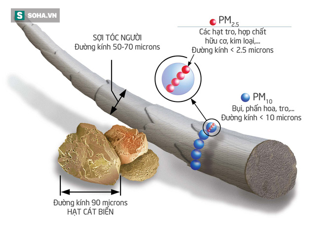 Ô nhiễm không khí nặng: Viện Quốc gia Sức khỏe & An toàn Nghề nghiệp Mỹ khuyên dùng loại khẩu trang nào? - Ảnh 1.