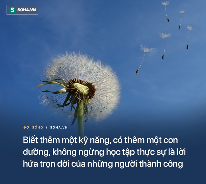 Bị mèo tấn công, chuột già cứu mạng 2 chuột nhắt theo cách ít ai ngờ đến: Con người nên học - Ảnh 1.