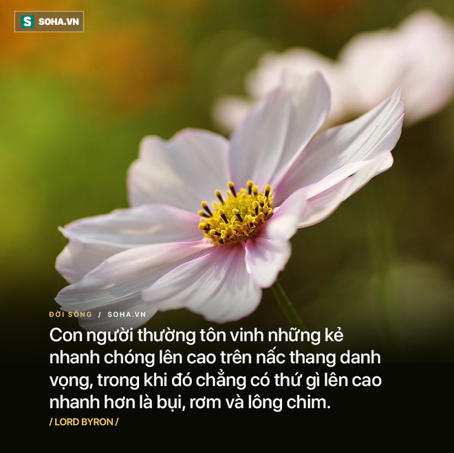 Rắn hùng hổ lao vào tấn công ếch, chưa được bao lâu đã từ bỏ ý định và hồi kết đáng ngẫm - Ảnh 3.