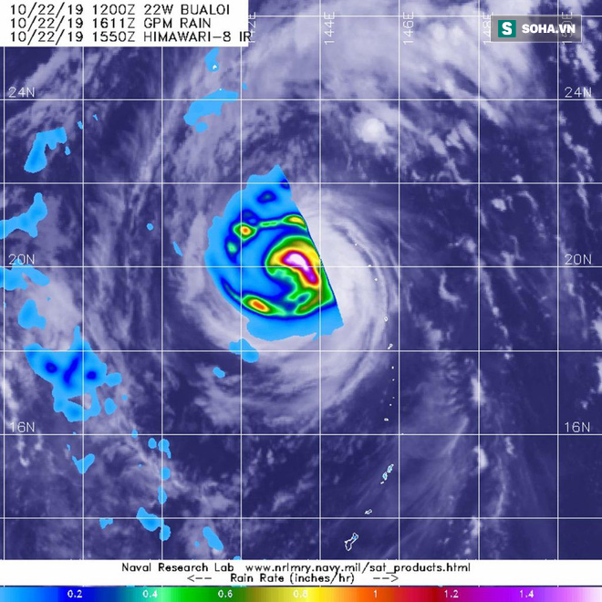 Tin mới nhất về song bão châu Á: 2 cơn bão đánh vào duy nhất quốc gia nào? - Ảnh 2.