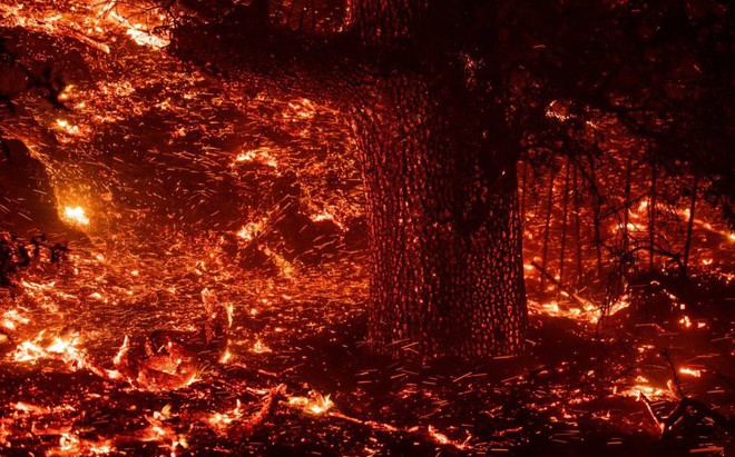 24h qua ảnh: Cháy rừng như ngày tận thế ở Mỹ - Ảnh 4.