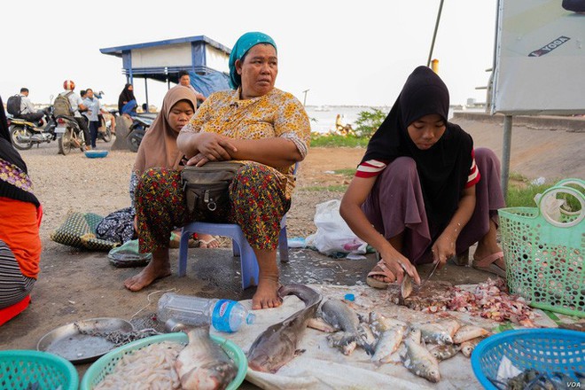 Campuchia: Xưa bắt cá bằng tay, nay thả lưới lớn cả ngày chẳng có chi - Ảnh 2.