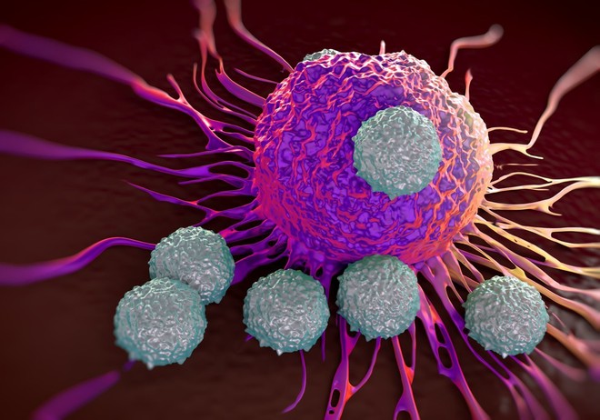 Cải thiện hệ miễn dịch là thuốc chống ung thư tốt nhất: Cơ thể sẽ tự tiêu diệt tế bào xấu - Ảnh 3.