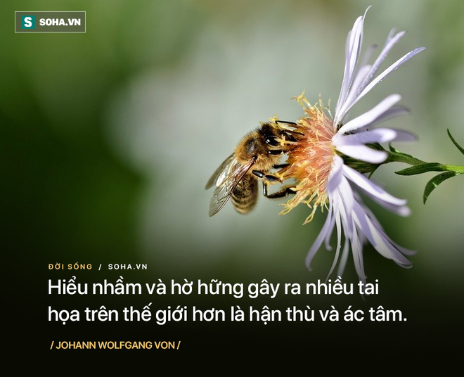 Đang đi đường bỗng bị người lạ quát vào mặt, lái xe cay cú trả đũa, vừa dứt lời thì gặp họa - Ảnh 1.