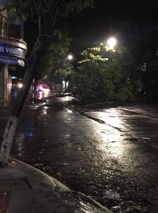 Bão đổ bộ trong đêm, cây ngã đổ la liệt, nhiều địa phương ở Phú Yên, Bình Định mất điện - Ảnh 6.