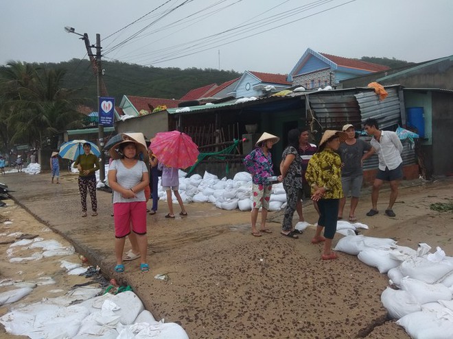 Sau bão số 5: Quảng Ngãi hư hại hơn 400 nhà, sóng đánh sập kè ở Bình Định - Ảnh 17.