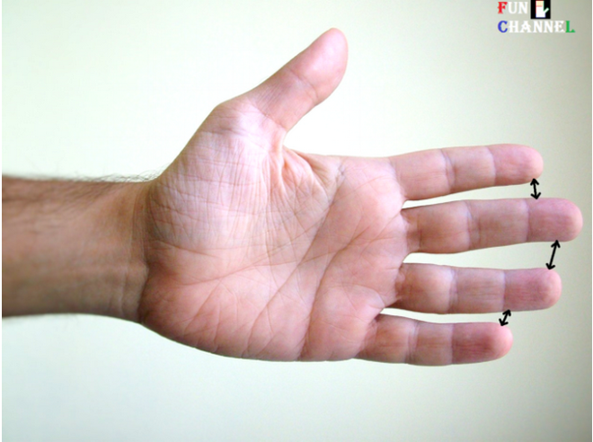 Khoảng cách giữa các ngón tay sẽ tiết lộ bạn sống độc lập hay phụ thuộc - Ảnh 6.