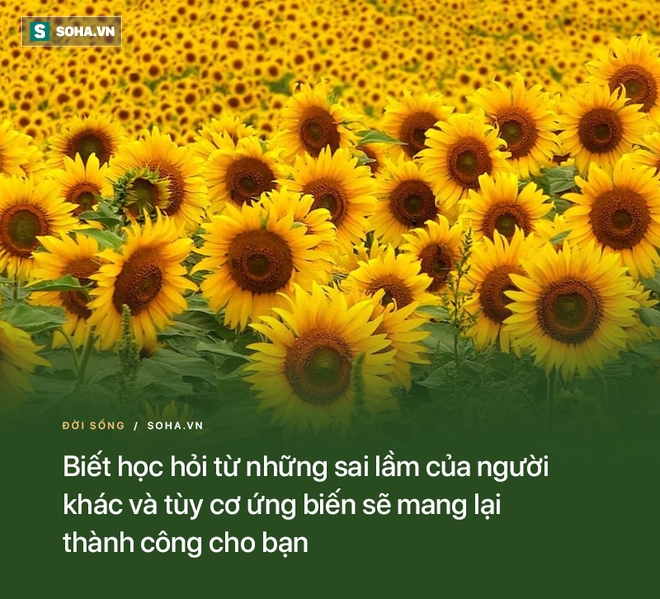 Lấy 2 bà vợ và cố gắng chiều lòng cả 2, 1 ngày người chồng tá hỏa trước cái giá phải trả - Ảnh 2.