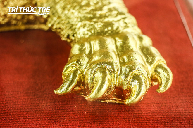 Tận mắt chứng kiến cụ Rùa Hồ Gươm mạ vàng 9999, trả giá hơn trăm triệu không bán  - Ảnh 8.