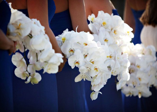 Gợi ý 6 loại hoa cô dâu, chú rể nên lựa chọn trong ngày cưới - Ảnh 8.