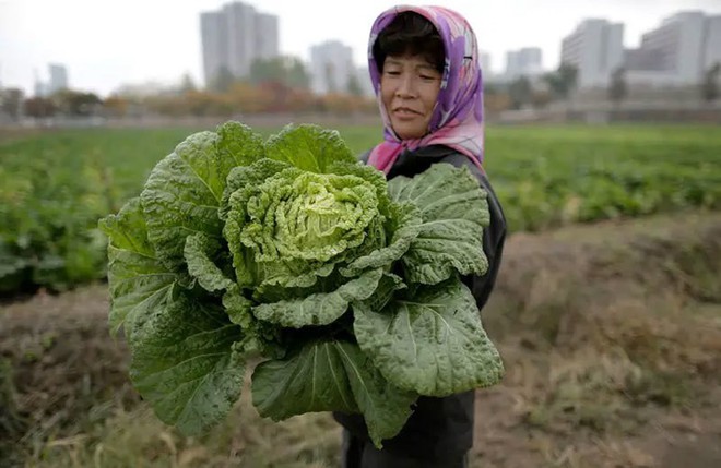 Hé mở cuộc sống bí ẩn của người lao động Triều Tiên - Ảnh 1.