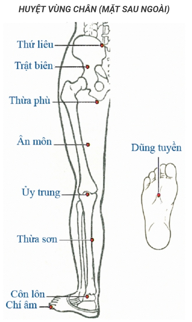 Làm thêm 4 việc trước khi đi ngủ: Đặt lưng xuống giường là ngủ, cả đời khỏe mạnh - Ảnh 3.