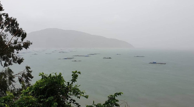 Phú Yên bắt đầu mưa lớn, tất cả căng mình chống bão - Ảnh 2.