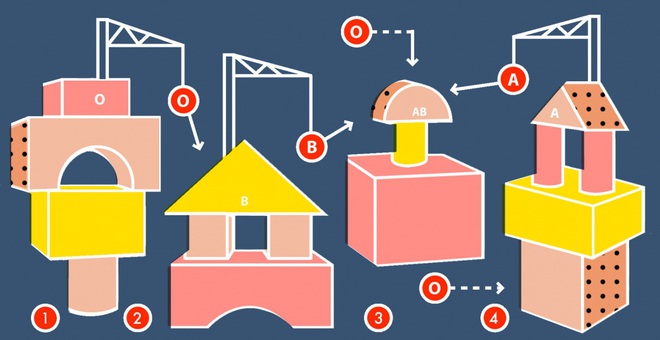 Tại sao mỗi người có nhóm máu khác nhau? - Ảnh 2.
