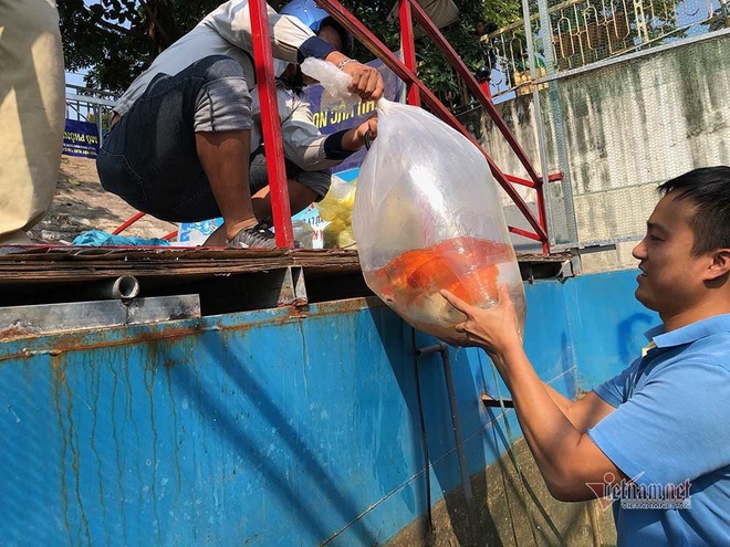 Cảnh dỡ bảo bối Nhật làm sạch sông Tô Lịch, rút cá koi về hồ Tây - Ảnh 5.