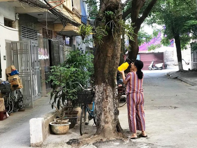 Cận cảnh cuộc sống người dân quanh nhà máy Rạng Đông sau tẩy độc - Ảnh 5.