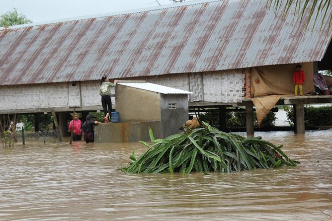 Đắk Lắk ngập nặng sau bão, học sinh lội ruộng đến trường - Ảnh 1.