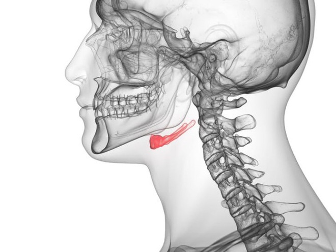 Những sự thật bất ngờ về bộ xương người - Ảnh 1.