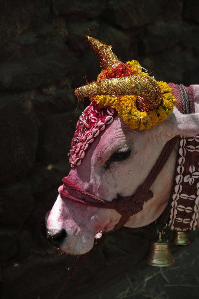 Những nét văn hóa truyền thống độc đáo hấp dẫn cả thế giới của Ấn Độ - Ảnh 5.