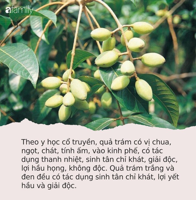 Loại quả đen xì, xấu xí nhưng giá đắt hơn thịt: Nấu gì cũng ngon lại có công dụng chữa được đủ thứ bệnh - Ảnh 2.