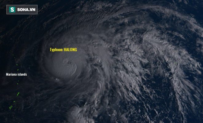 Song bão nguy hiểm ở Tây Thái Bình Dương: Bão Hạ Long tăng cấp siêu bão, Biển Đông sắp hứng bão to - Ảnh 4.