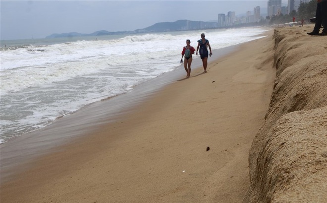 Trước bão số 6: Kỳ lạ “tường” cát cao gần 1m xuất hiện ở biển Nha Trang Trước bão số 6: Kỳ lạ “tường” cát cao gần 1m xuất hiện ở biển Nha Trang