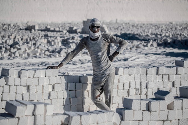 24h qua ảnh: Nh&agrave; khoa học lấy chất độc từ miệng rắn đu&ocirc;i chu&ocirc;ng - Ảnh 2.