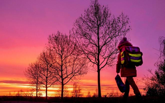 24h qua ảnh: Nh&agrave; khoa học lấy chất độc từ miệng rắn đu&ocirc;i chu&ocirc;ng - Ảnh 6.